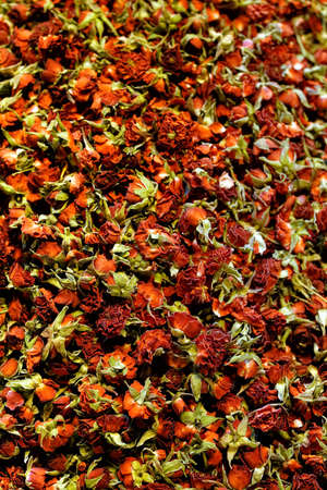 photo of tea rosesの写真素材