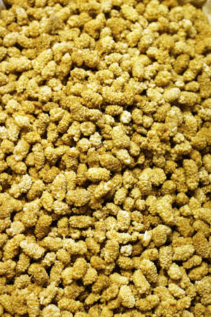 Photo of dry mulberry backgroundの写真素材