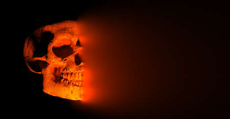 3d illustration of human skull in the dark. Halloween concept.の写真素材