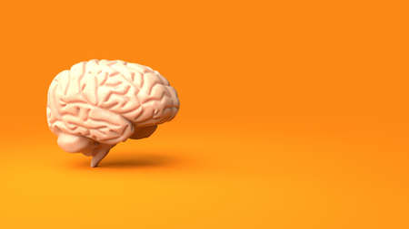 Brain icon on orange background, 3d renderingの写真素材