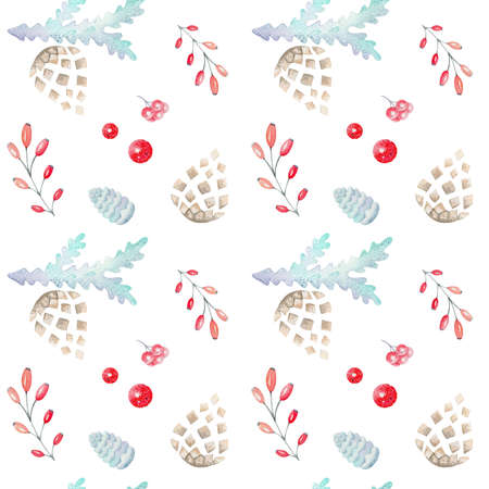 Pattern with cones and berries. Pattern on a white background.の写真素材