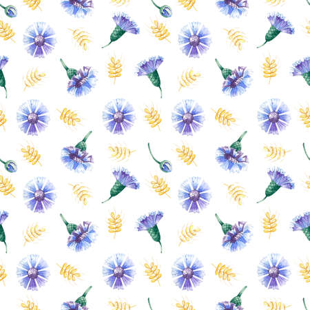 Watercolor pattern with cornflowers and spikelets. Pattern on a white background.
