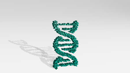 YOGA OF DNA DOUBLE HELIX on the wall. 3D illustration of metallic sculpture over a white background with mild texture. woman and exerciseの写真素材