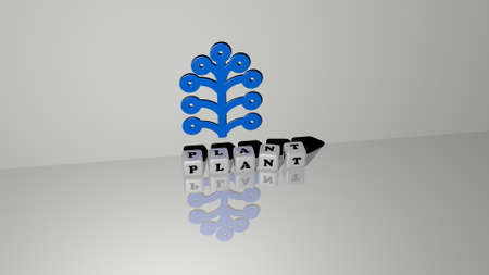 3D representation of PLANT with icon on the wall and text arranged by metallic cubic letters on a mirror floor for concept meaning and slideshow presentation. background and greenの写真素材