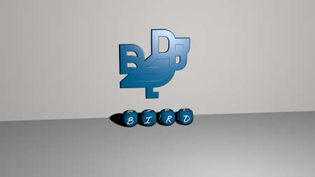 3D representation of BIRD with icon on the wall and text arranged by metallic cubic letters on a mirror floor for concept meaning and slideshow presentation. animal and illustrationの写真素材