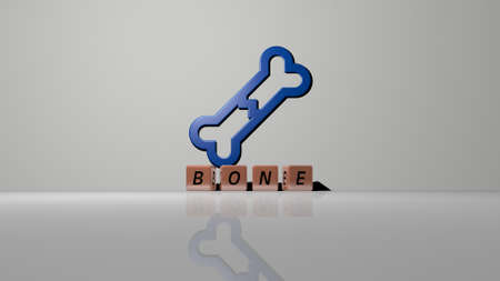 3D representation of BONE with icon on the wall and text arranged by metallic cubic letters on a mirror floor for concept meaning and slideshow presentation. illustration and backgroundの写真素材