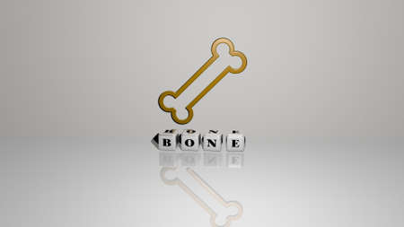 3D graphical image of bone vertically along with text built by metallic cubic letters from the top perspective, excellent for the concept presentation and slideshows. illustration and backgroundの写真素材