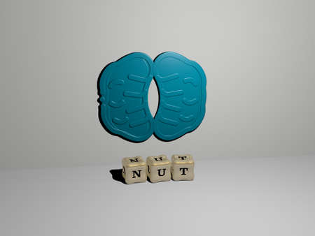 nut 3D icon on the wall and cubic letters on the floor. 3D illustration. background and foodの写真素材
