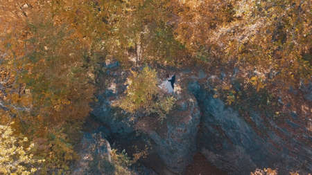 Groom with bride stand in the forest park on a slope of the mountain hill. Wedding couple. Man and woman in love. Aerial shotの写真素材