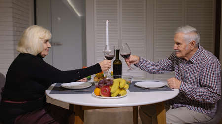 Portrait of happy senior old couple toasting wine at home during romantic dinner. Elderly mature...