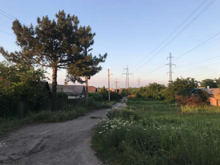 landscape evening in the village road tree and sky.の写真素材