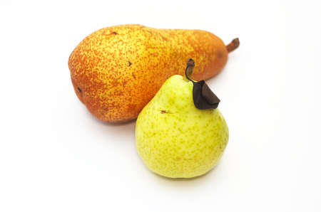 Yellowish and brownish fresh pears on whitの写真素材