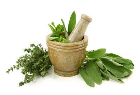 Mortar with herbs isolated on white background の写真素材