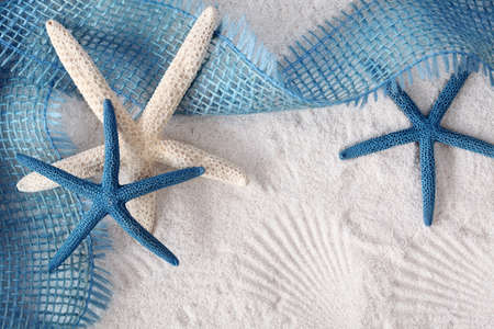 White and blue sea stars on sandの写真素材