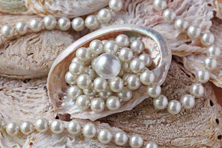 Pearls in a shellの写真素材