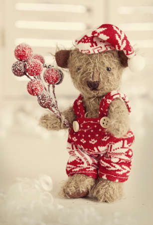 Teddy bear with santa hat on whiteの写真素材