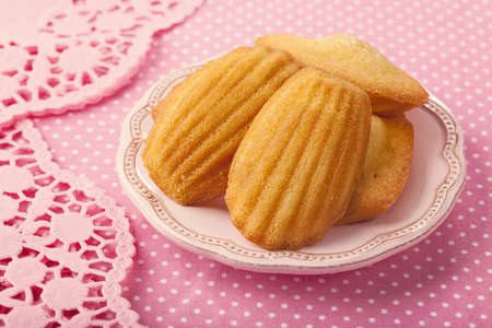 Madeleine on a pink plateの写真素材
