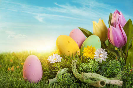 Easter eggs  on green grass