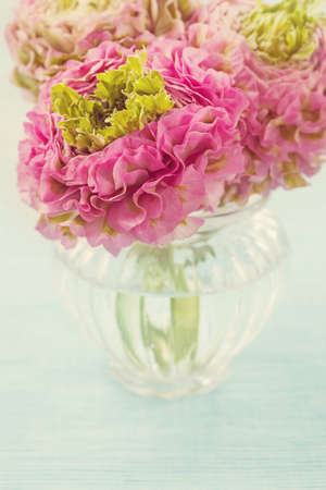 Ranunculus flowers in a vaseの写真素材