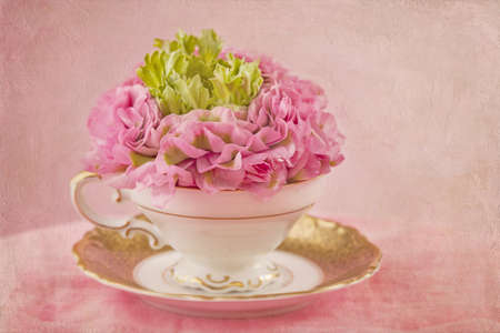 Ranunculus flower in a tea cupの写真素材