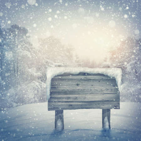 Wooden sign in winter forest