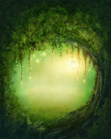 Enchanted dark forest and lights Enchanted dark forest and lights