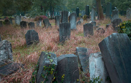 Old jewish cemetery in Vienna