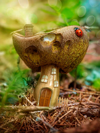 Fantasy mushroom house in the forestの写真素材
