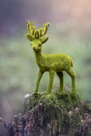 Autumn decoration in the forestの写真素材