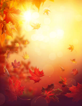 Autumn falling leaves on colorful background