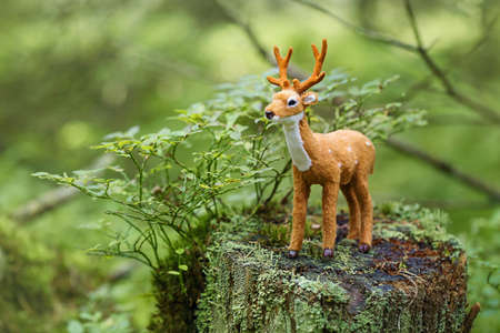 Autumn decoration in the forest