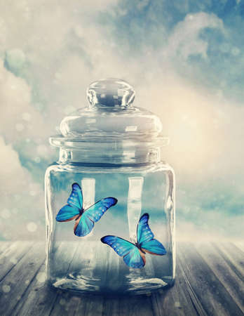 Two butterflies closed in a jarの写真素材