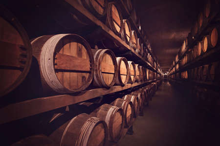Wine cellar with a row of barrels, Austriaの写真素材