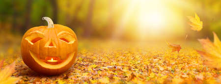 Halloween banner with a pumpkinの写真素材