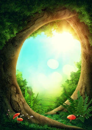 Dark magic forest with sunshineの写真素材