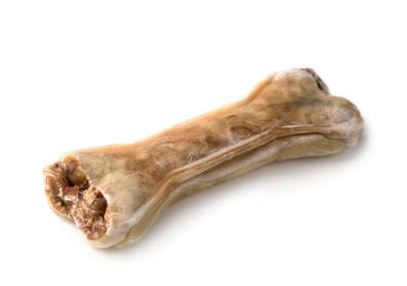 Dog chew bone isolated on a white background