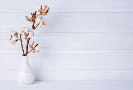 Vase mit cotton flowers on a white wooden background. Copy space for your text.の写真素材
