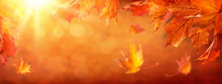 Abstract autumn background with falling leavesの写真素材