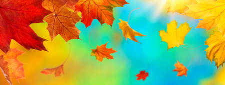 Abstract autumn background with falling leavesの写真素材