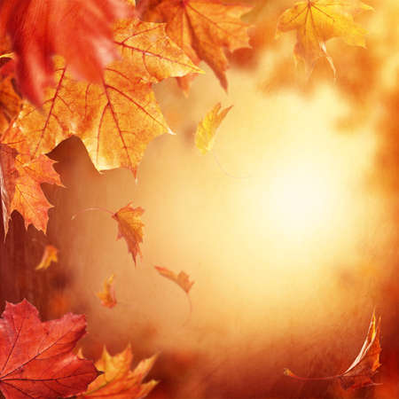 Abstract autumn background with falling leavesの写真素材