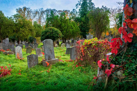 Old jewish cemetery in Viennaの写真素材