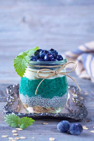 Chia seeds with spirulina pudding with blueberriesの写真素材