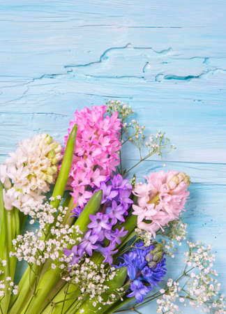 Pastel colored flowers on a blue backgroundの写真素材