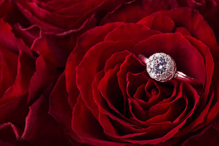 Red roses with engagement ring in the petalsの写真素材