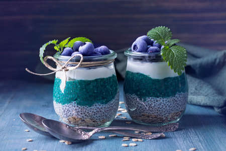 Chia seeds with spirulina pudding with blueberriesの写真素材