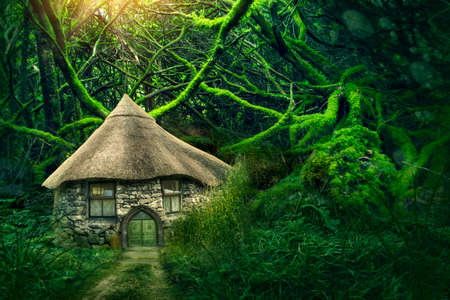 Fairy forest with a small houseの写真素材