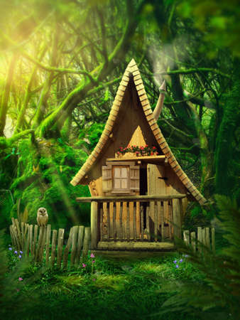 Fairy forest with a small houseの写真素材