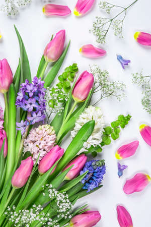 Pastel colored flower on a white backgroundの写真素材