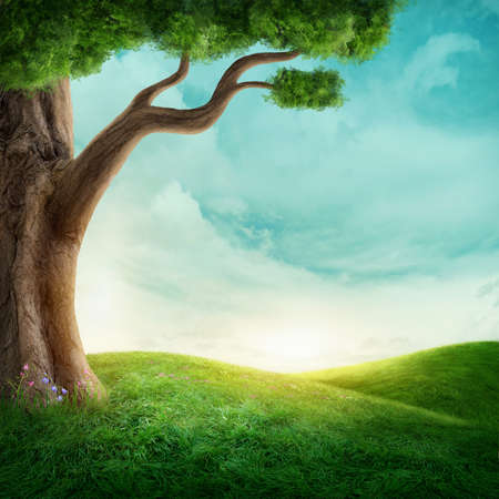 Big tree in the meadow. Image with copy spaceの写真素材