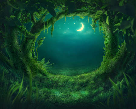Madgic forest in the moonlightの写真素材